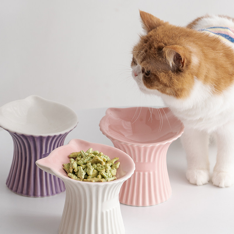 Elevated Ceramic Cat Bowl Neck Protecting Food Water