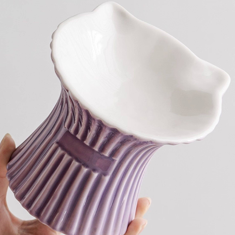 Elevated Ceramic Cat Bowl Neck Protecting Food Water