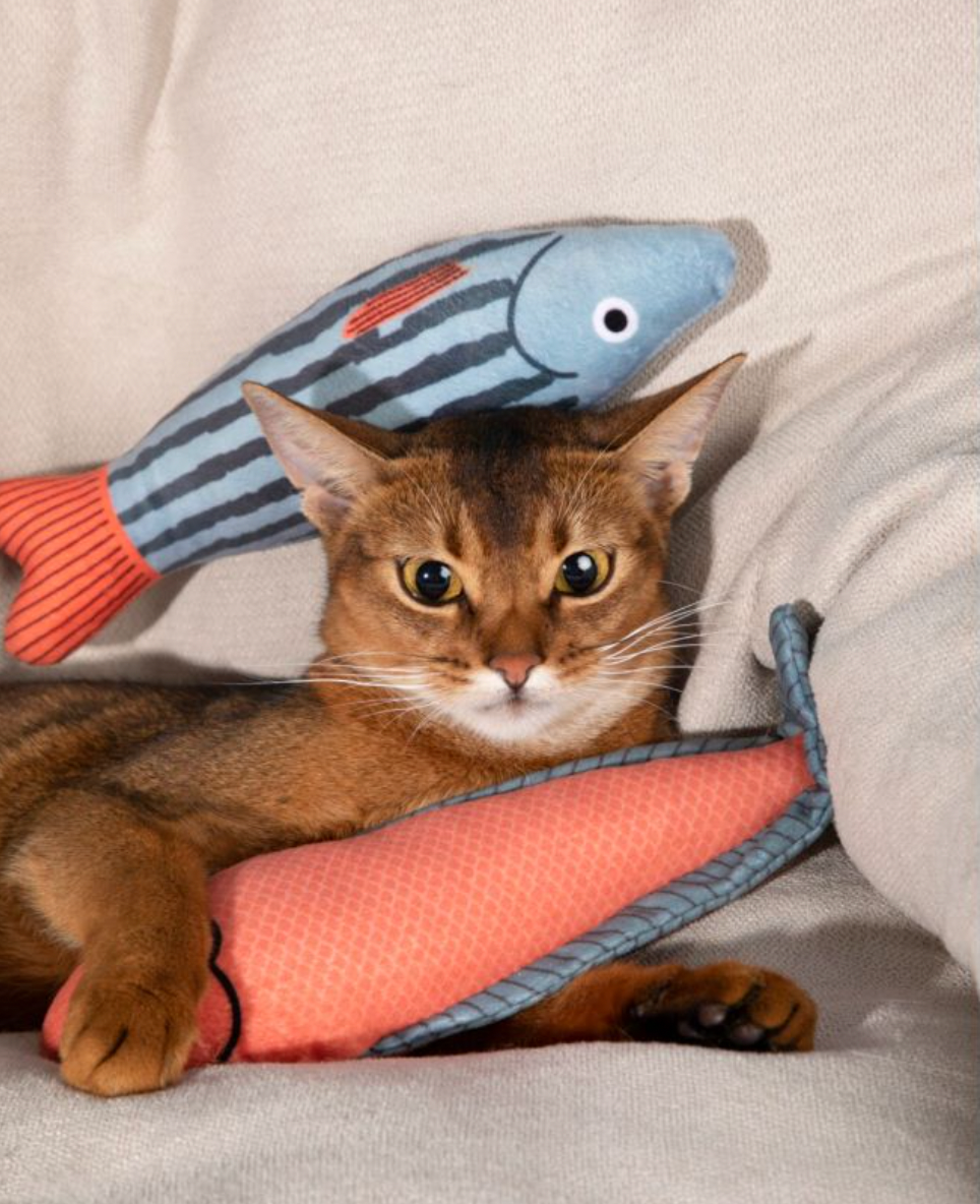 Catnip Plush Fish Toys for Cats – Soft Bat & Kick Play
