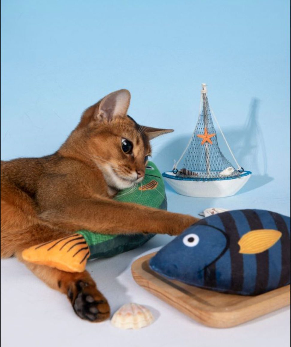 Catnip Plush Fish Toys for Cats – Soft Bat & Kick Play
