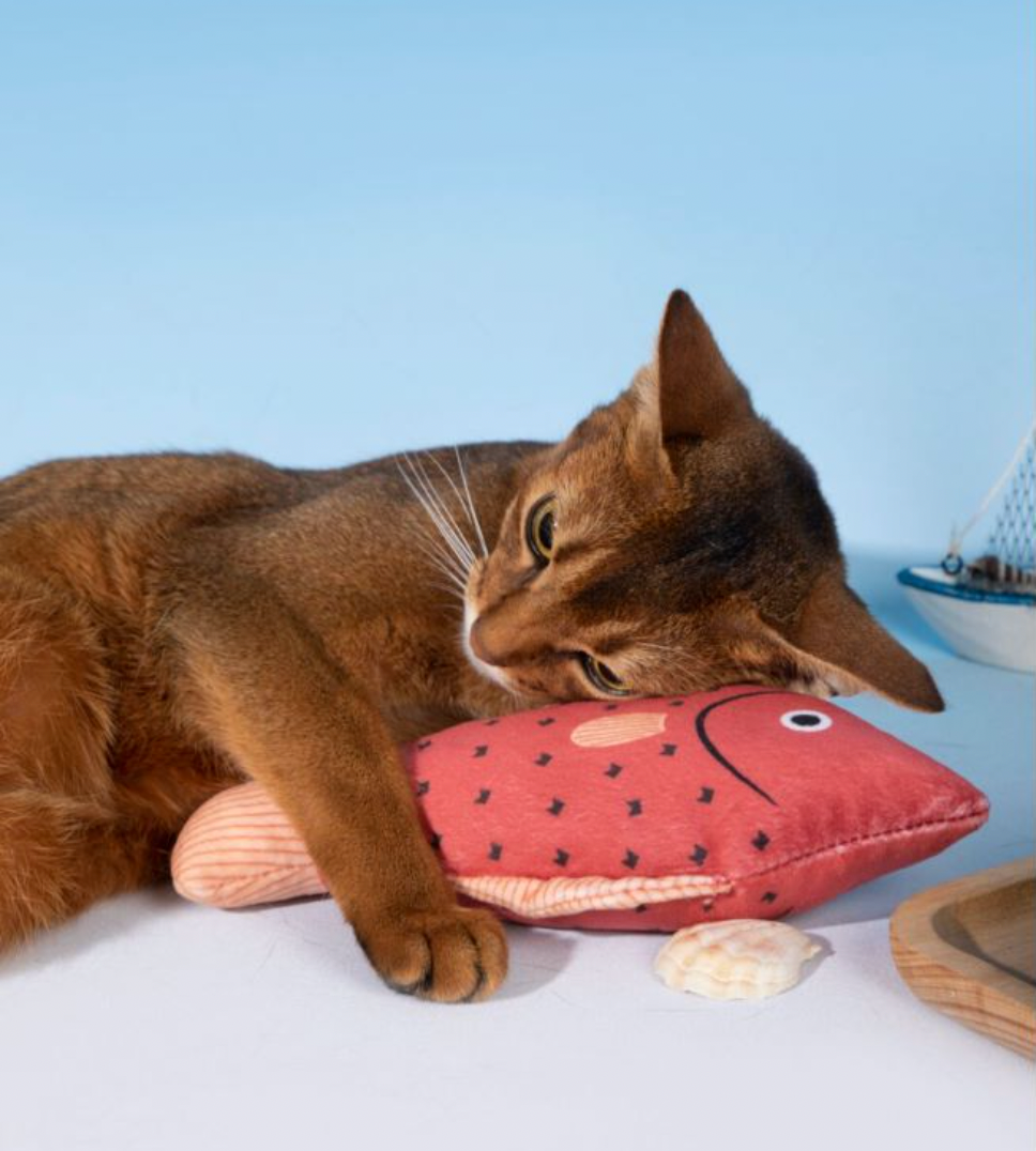 Catnip Plush Fish Toys for Cats – Soft Bat & Kick Play