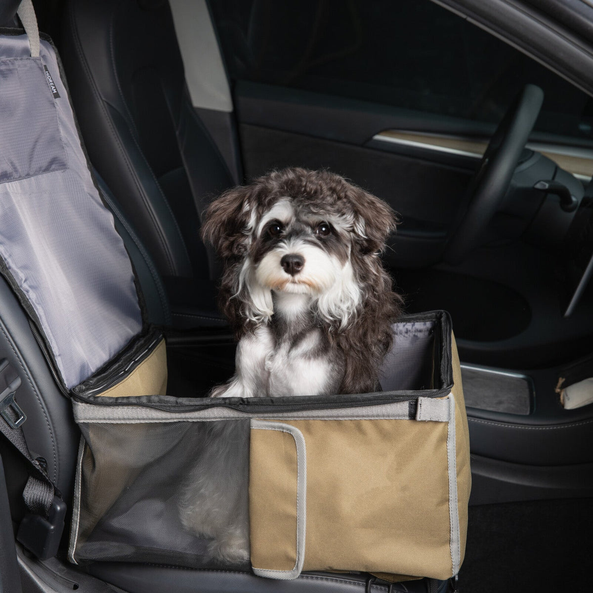 Convertible Car Booster Seat & Backpack Pet Carrier – main product view, image 3