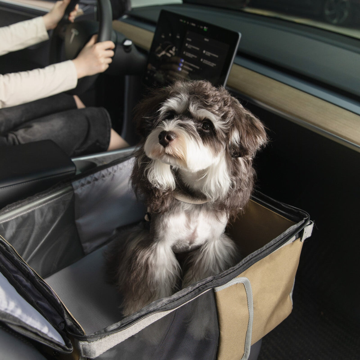Convertible Car Booster Seat & Backpack Pet Carrier – car booster mode, image 4
