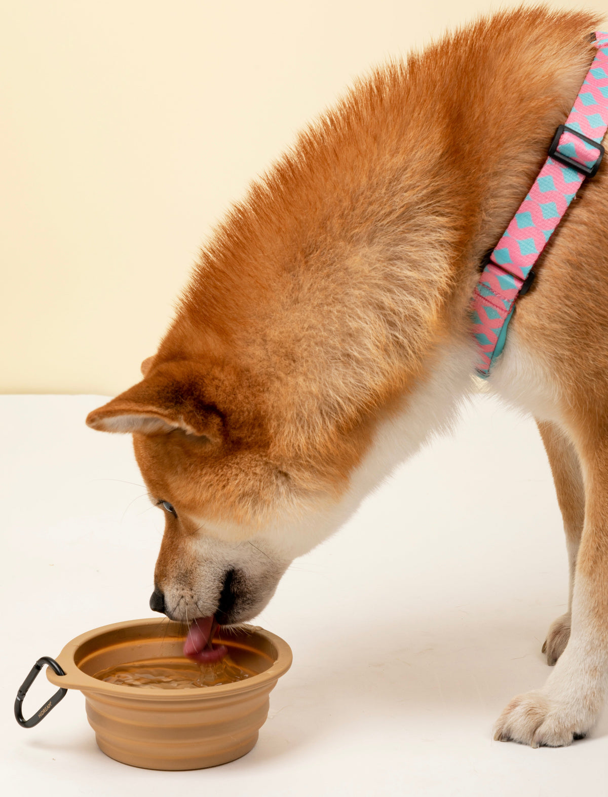 Collapsible Silicone Pet Travel Bowl – Clip-On Food & Water Bowl