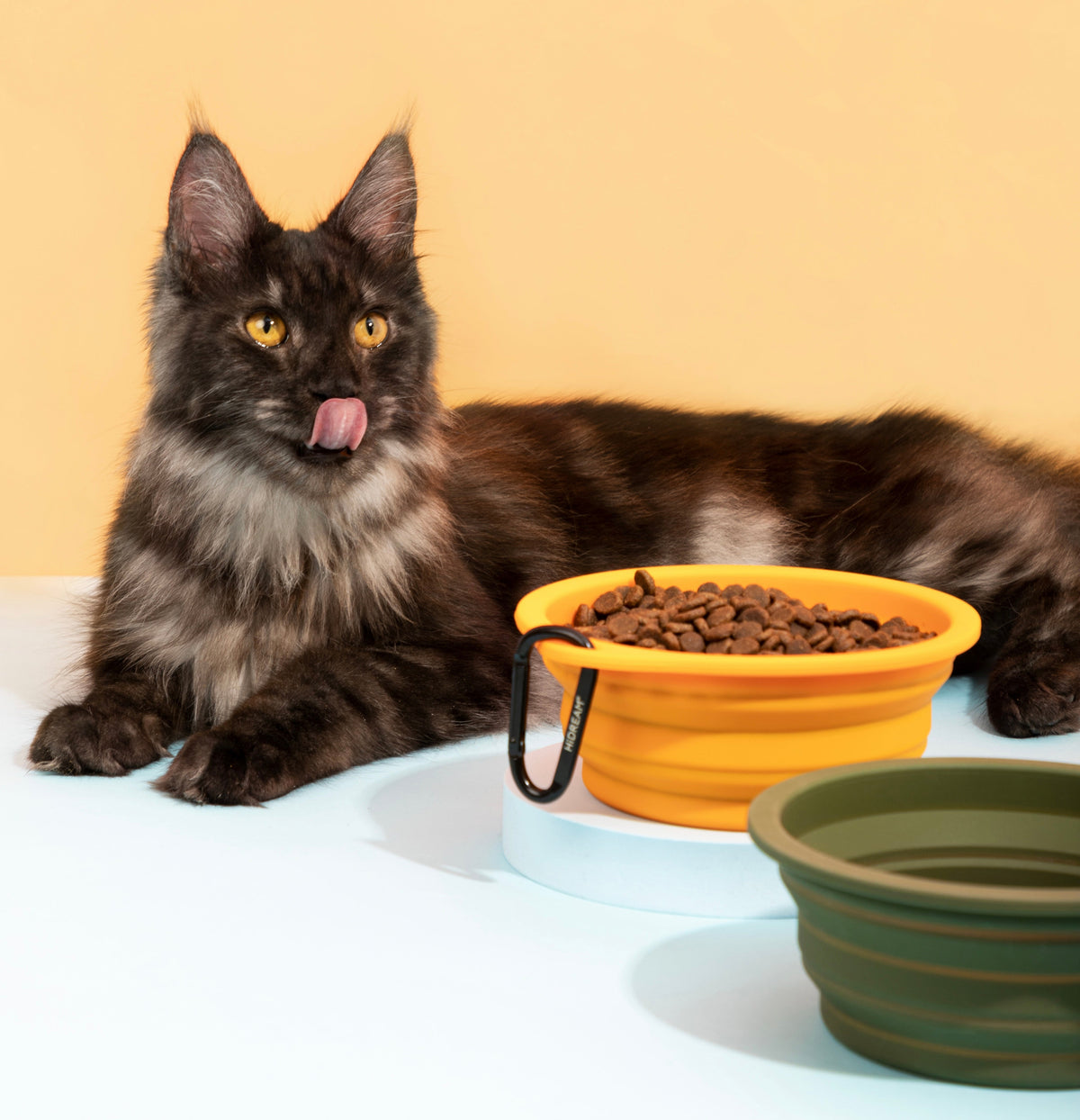 Collapsible Silicone Pet Travel Bowl – Clip-On Food & Water Bowl
