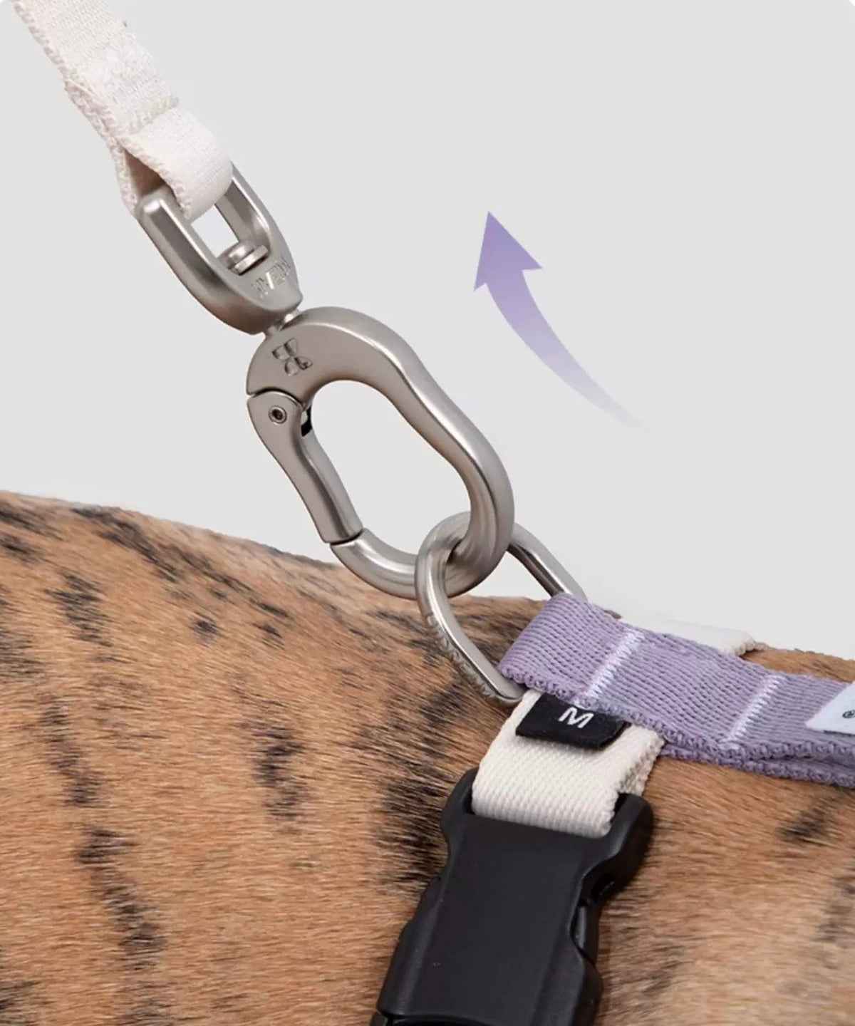 Dog Harness & Leash Set – Lightweight RPET Walking Gear