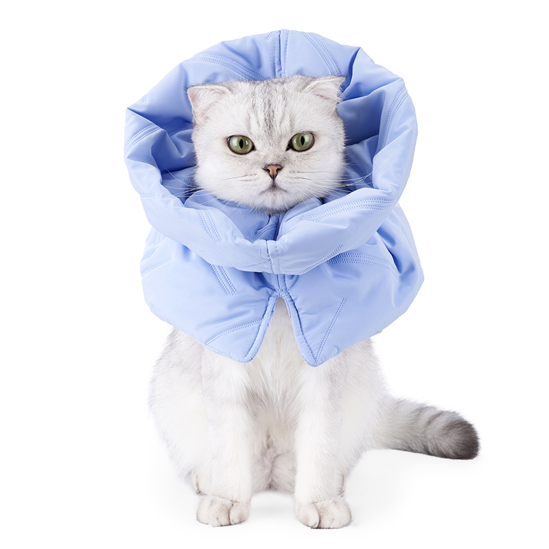 Soft Cat Recovery Collar Anti Lick Bite Escape Proof