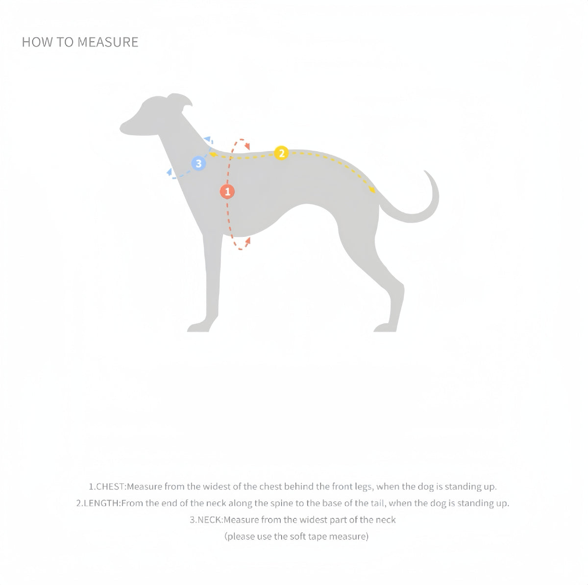 Dog Harness & Leash Set – Lightweight RPET Walking Gear