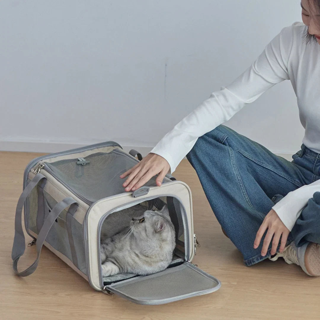 Fold-Flat Airline Cat Carrier – additional product view 4