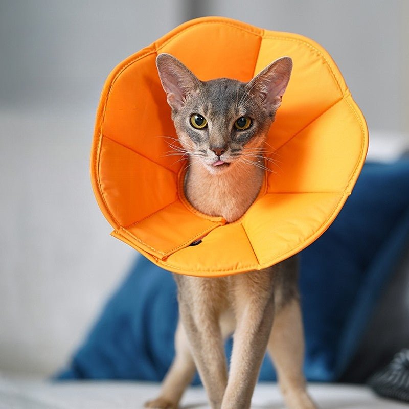Cat Recovery Collar Dog Recovery Cone Anti-Lick Protective