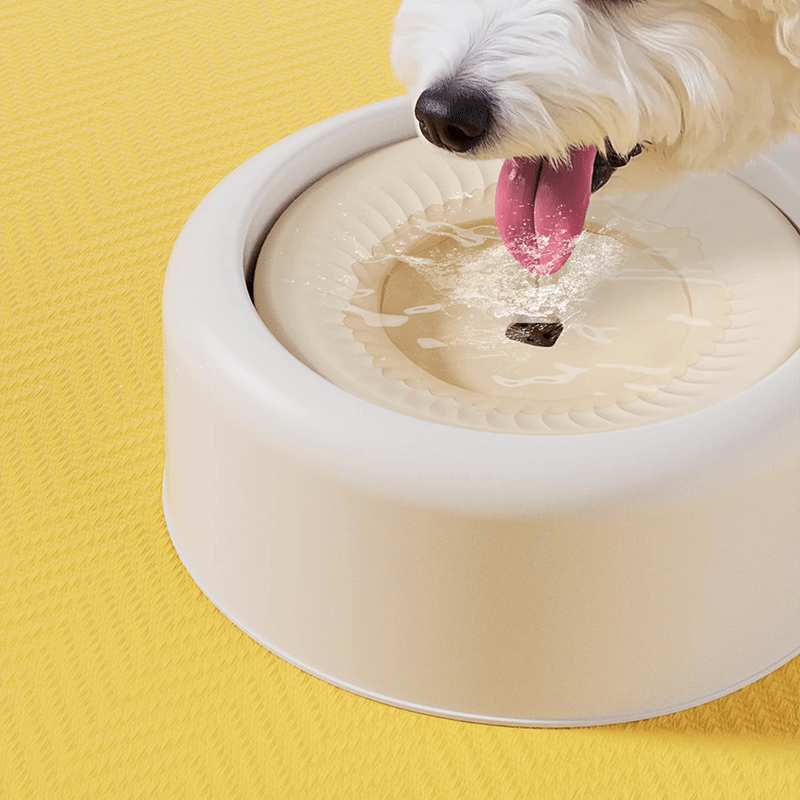 Cat Water Fountain Floating No-Spill Dog Stainless Steel Bowl Set