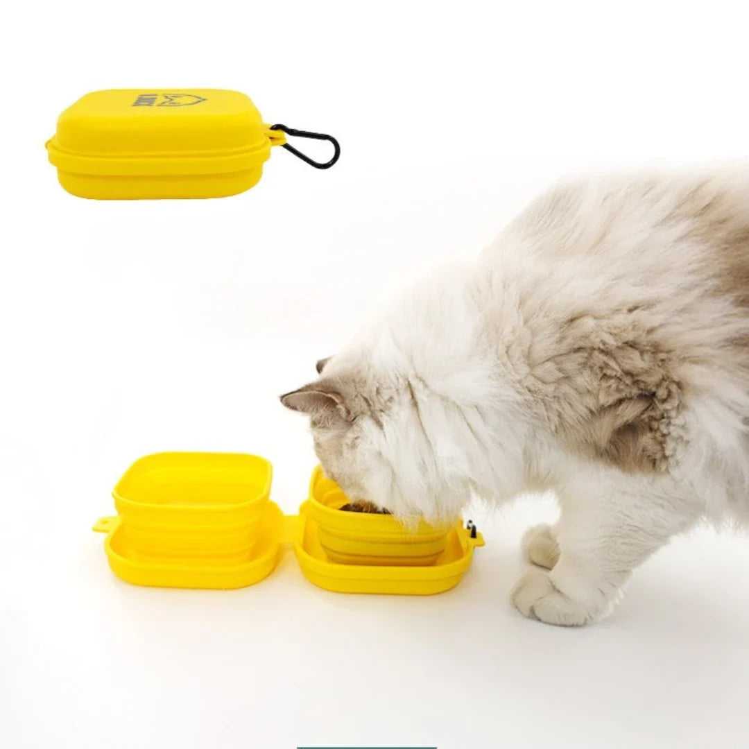 PocketRoute Collapsible Double Pet Bowl