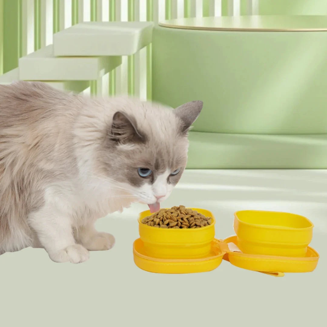 PocketRoute Collapsible Double Pet Bowl