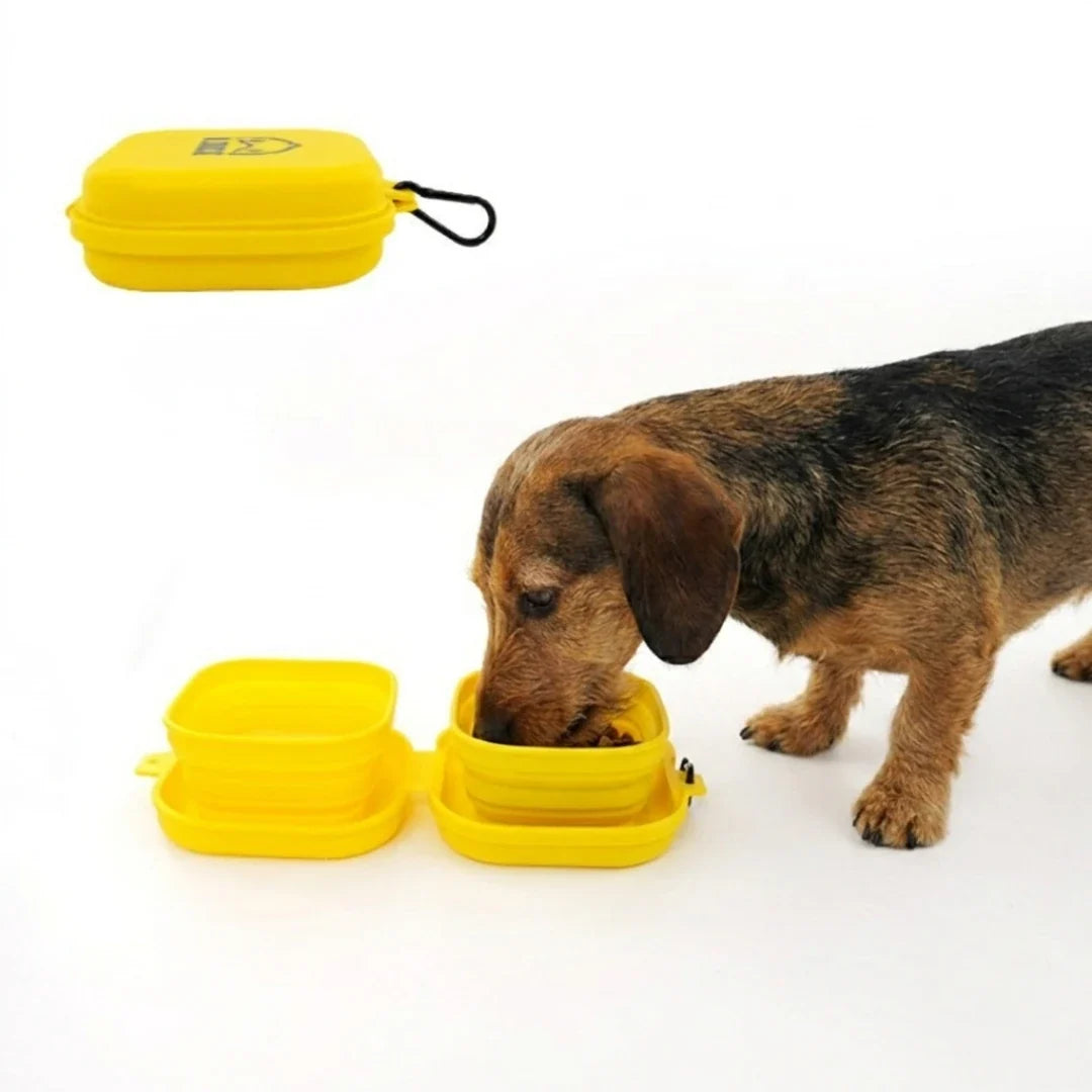 PocketRoute Collapsible Double Pet Bowl