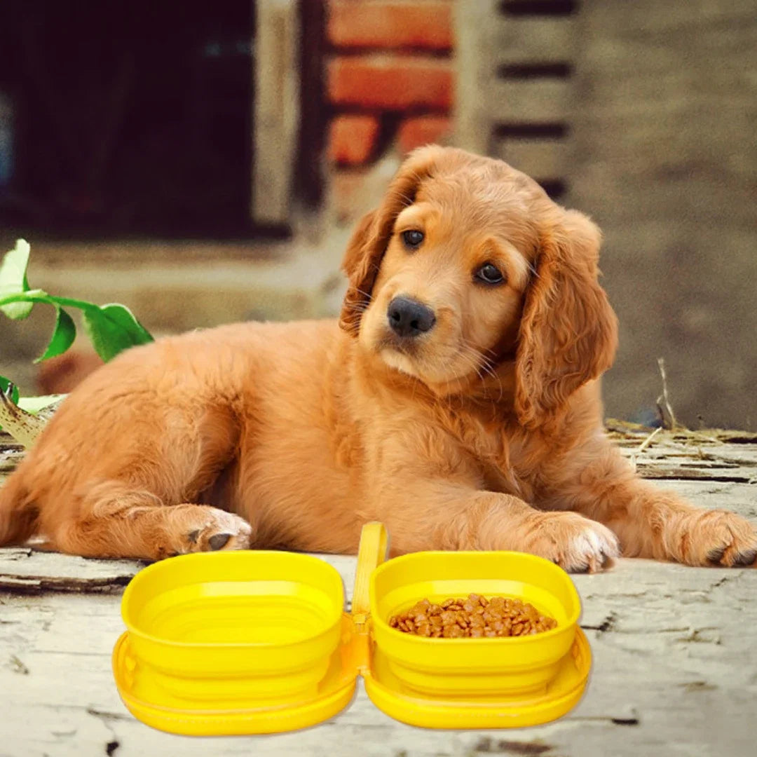 PocketRoute Collapsible Double Pet Bowl