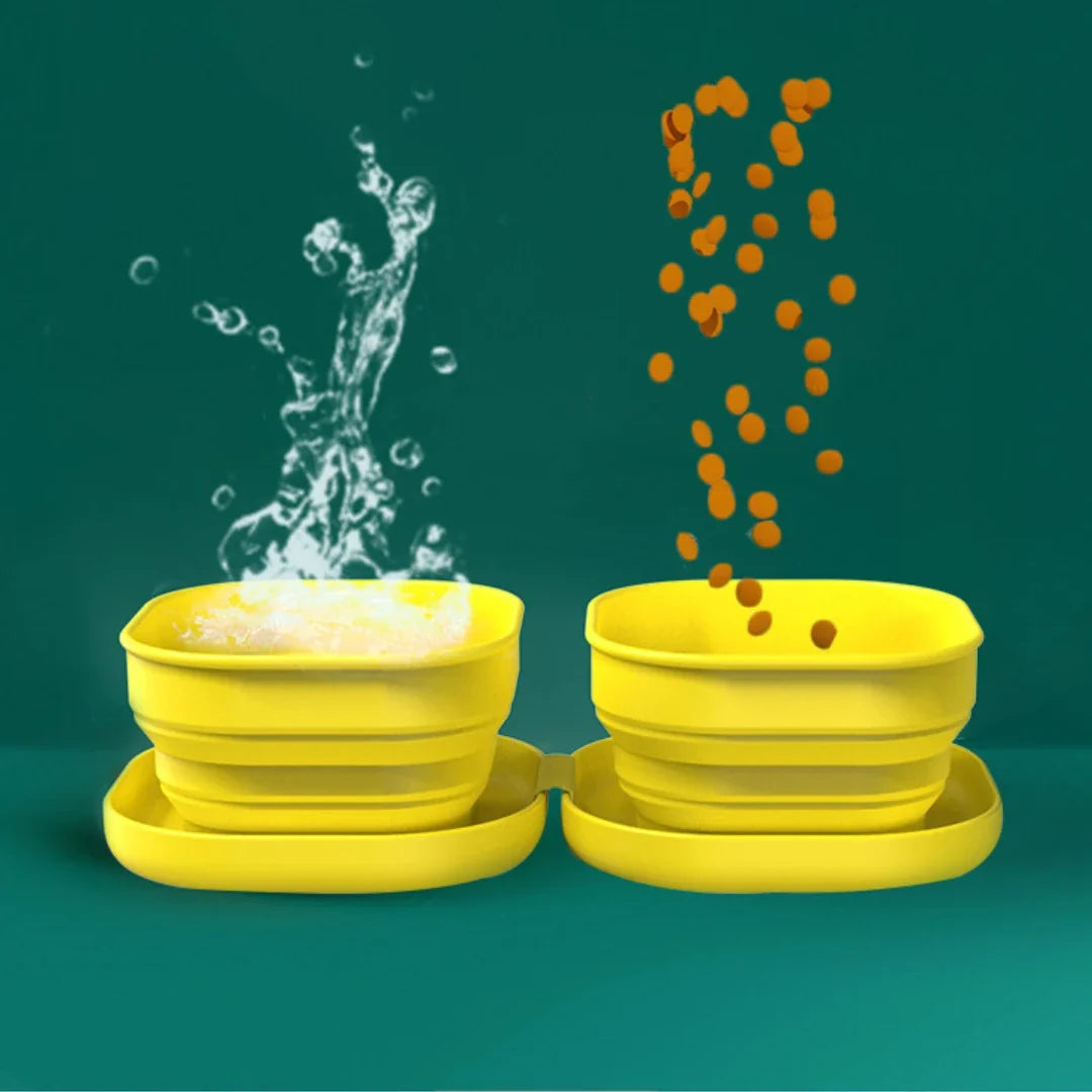 PocketRoute Collapsible Double Pet Bowl