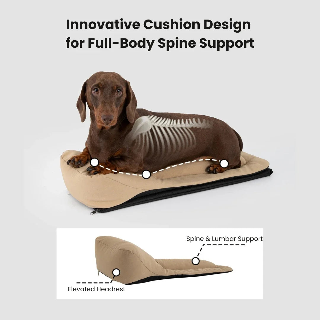 Long-Body Dachshund Carrier Backpack with Lie-Flat Base