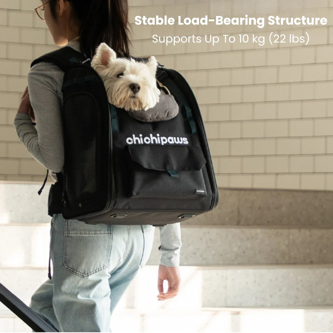 AirPace Ergonomic Cat & Small Dog Backpack – additional product view 3