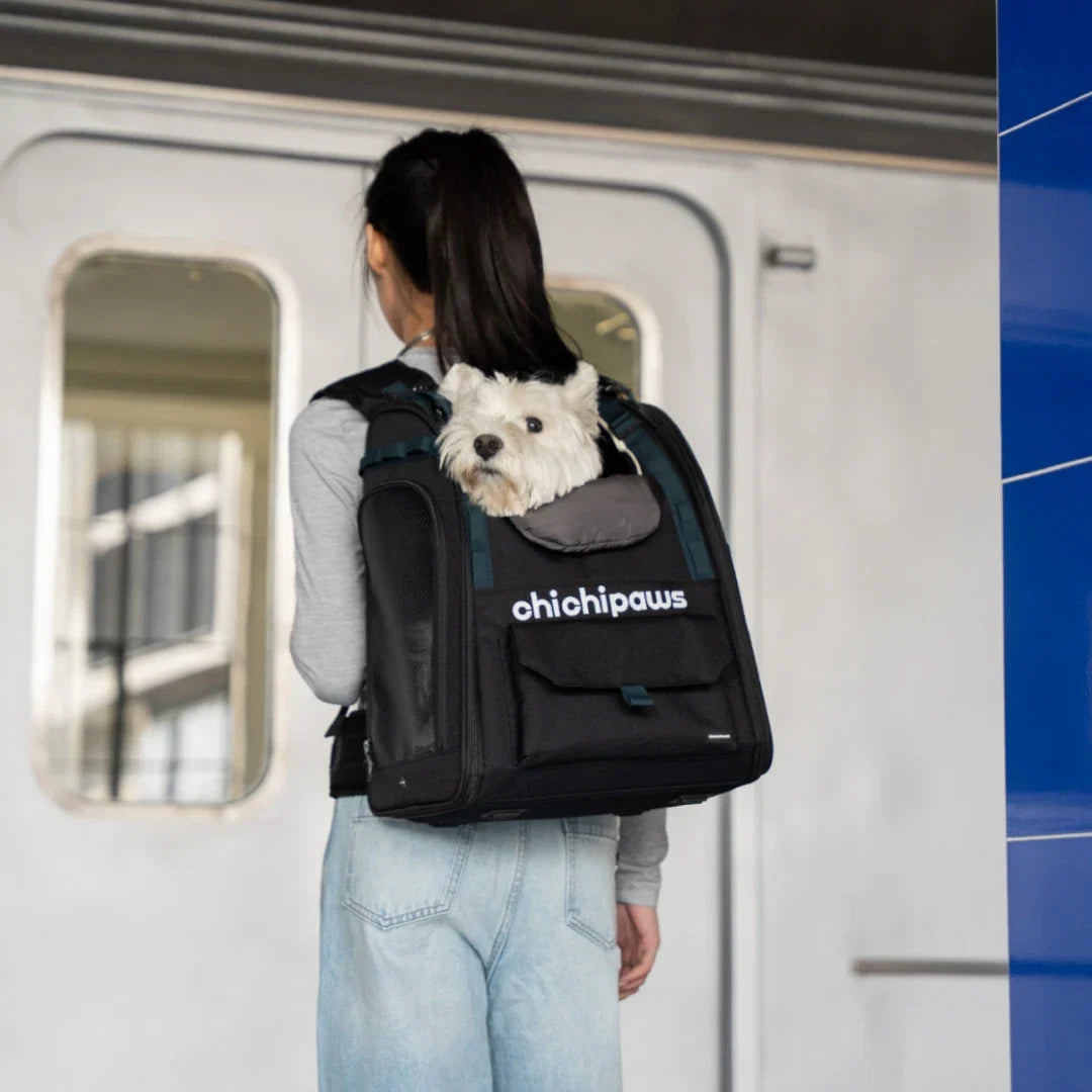 AirPace Ergonomic Cat & Small Dog Backpack – additional product view 9