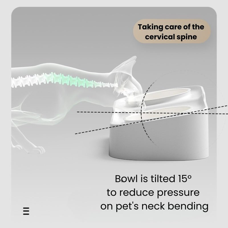 Double Ceramic Pet Food Bowl Dog Water Bowl With Holder