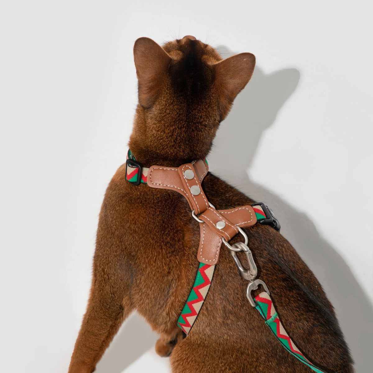 Bobo Series - Colorful Leather Patchwork Cat Vest Set