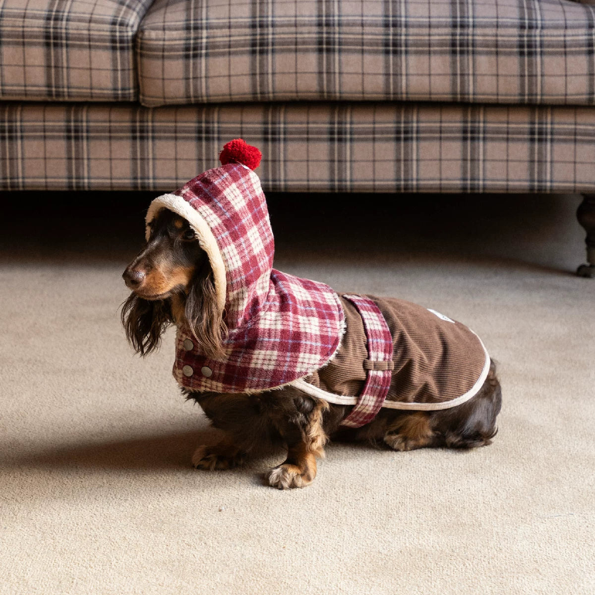 Hooded Dog Cape with Plaid Panels and Plush Lining