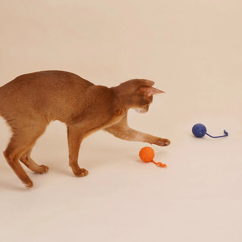 Funny Cat Toy Balls Sisal Interactive Pet Toy