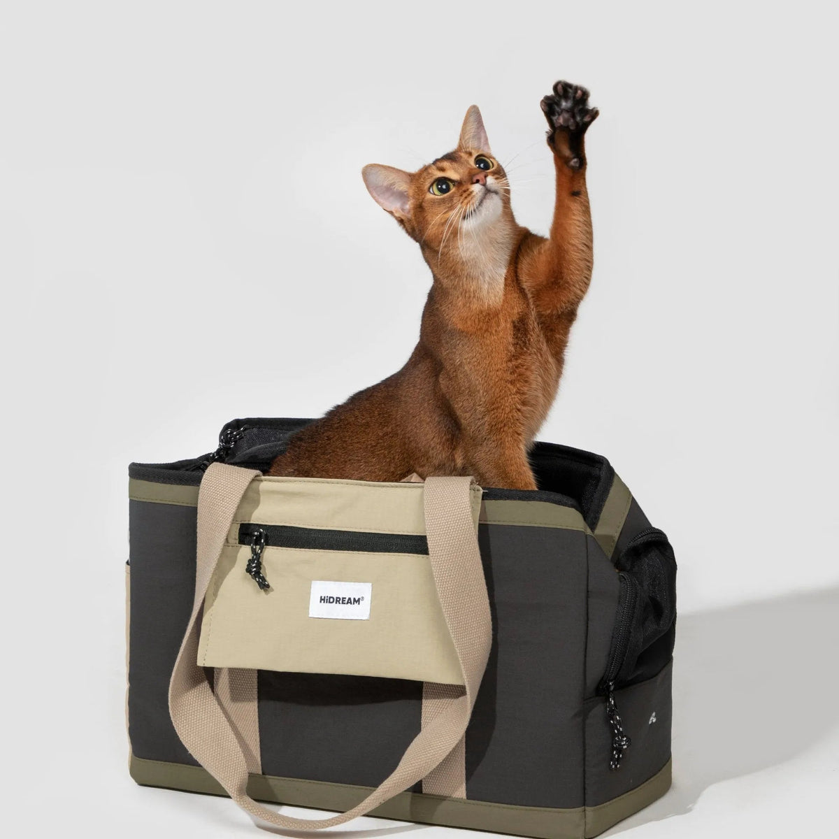 Convertible Pet Carrier Tote with Pull-Out Rest Space